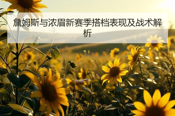 詹姆斯与浓眉新赛季搭档表现及战术解析